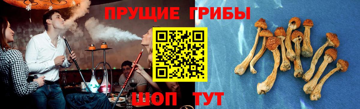 Галлюциногенные грибы Magic Shrooms  продажа наркотиков  Галлюциногенные грибы мухоморы  Ейск  Вход с VPN 